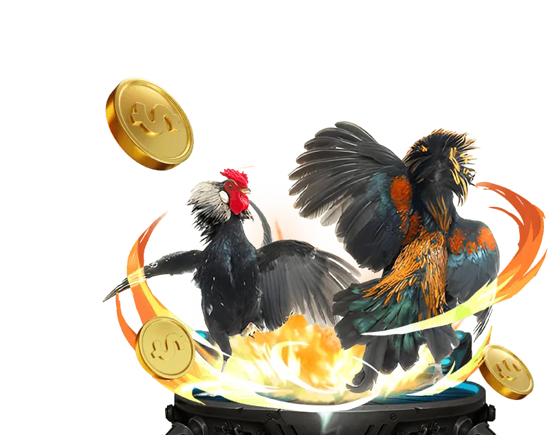 Trải nghiệm độc quyền