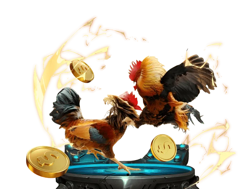 Quy trình cá cược đá gà trực tuyến dễ dàng